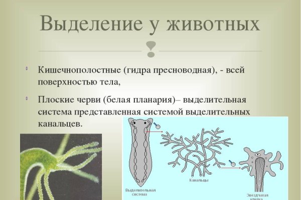 Кракен сайт как зайти