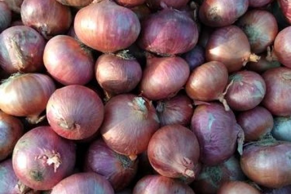 Что продает маркетплейс кракен