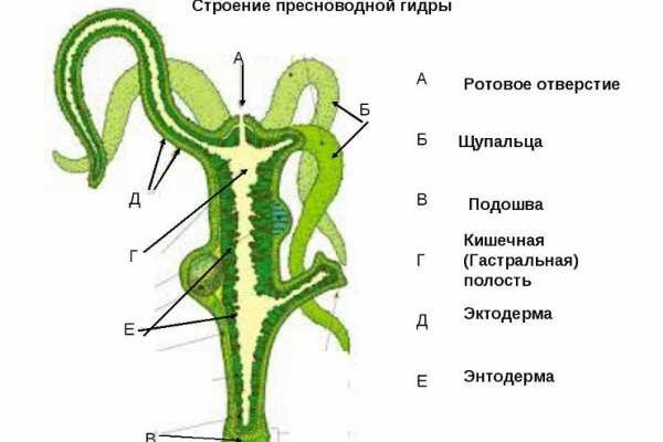 Кракен что продают