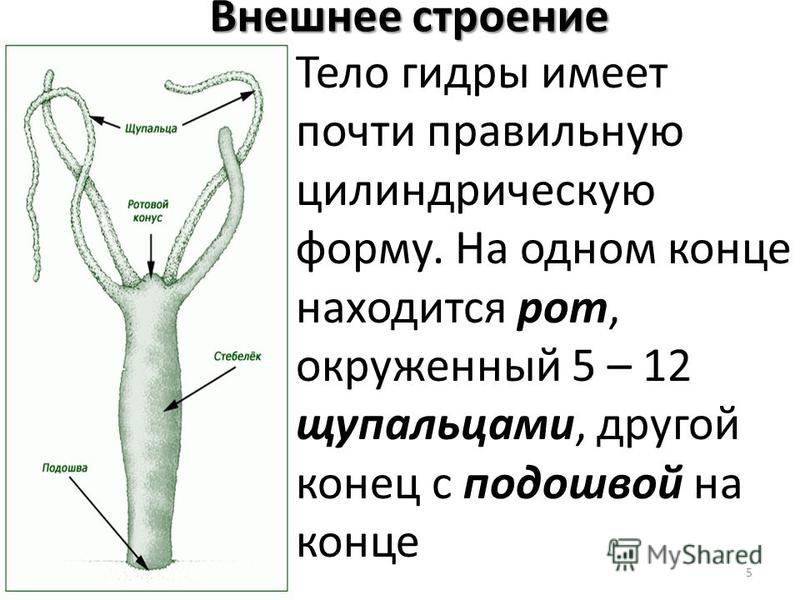 Кракен адрес сайта